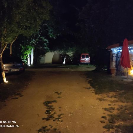Apartment Albert Parking Prive Gratuit Limoux Exterior foto