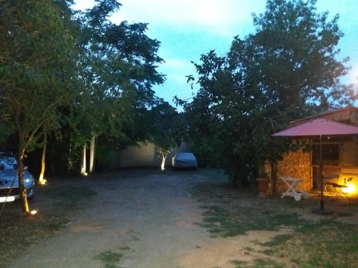 Apartment Albert Parking Prive Gratuit Limoux Exterior foto